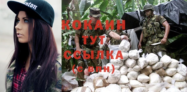 МДПВ Абаза