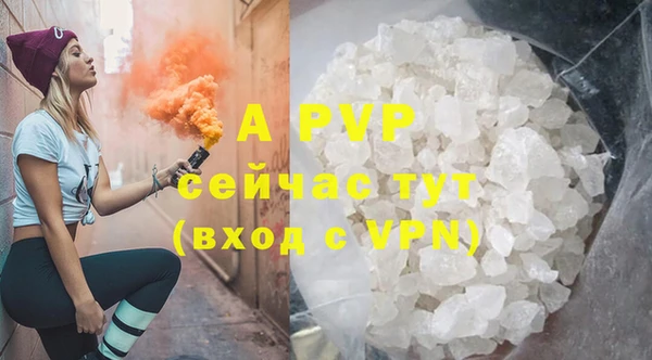 соль ск Тавда